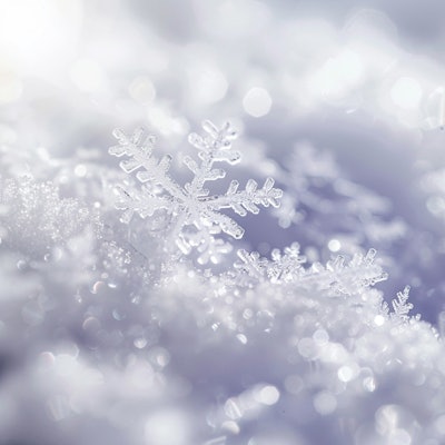 Delicate Snowflakes on Soft Snow - A close-up of intricate snowflakes resting on a bed of soft, powdery snow. The crystalline structures of the snowflakes sparkle in the light, creating a magical and serene winter scene.