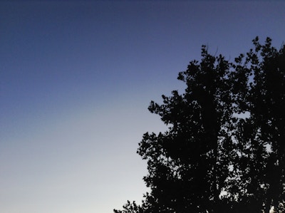 Purple Sunset