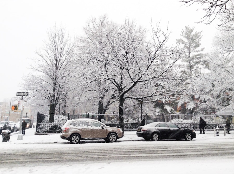 Photo: Brooklyn Snow