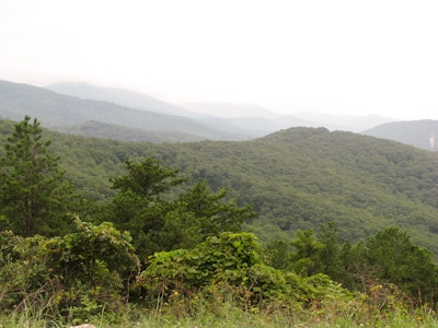 Landscape