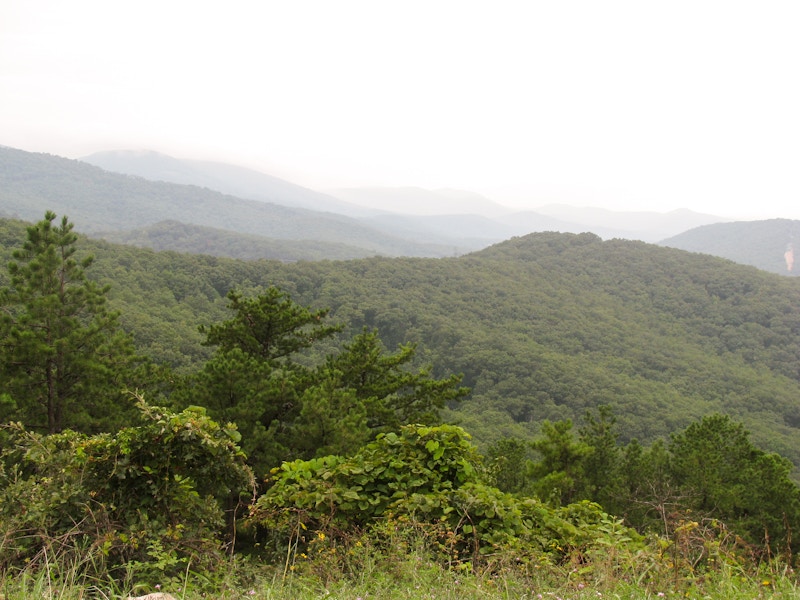 Photo: Landscape