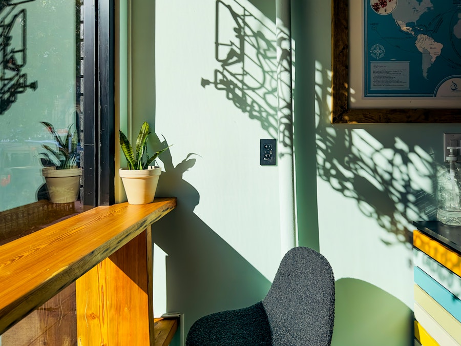 Photo: A chair and a table in a coffee shop with plant on top and sunlight shining through
