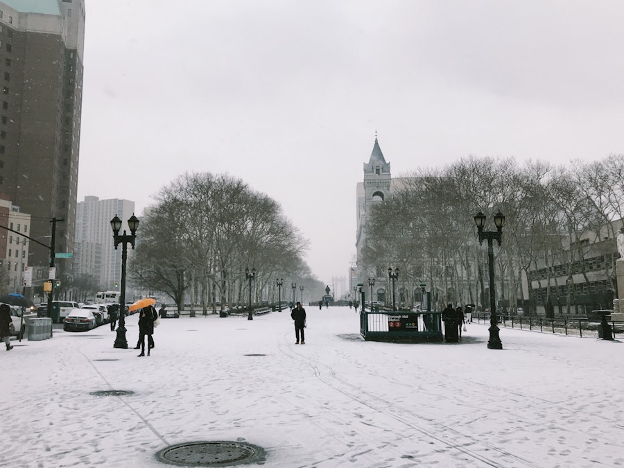 Photo: Brooklyn Snow