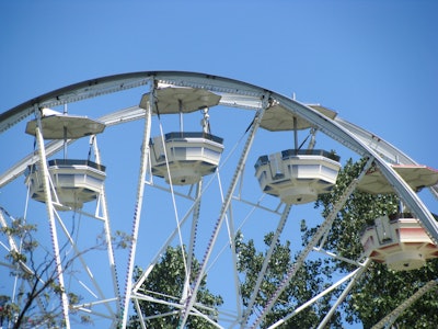 Ferris Wheel In Front of Tree