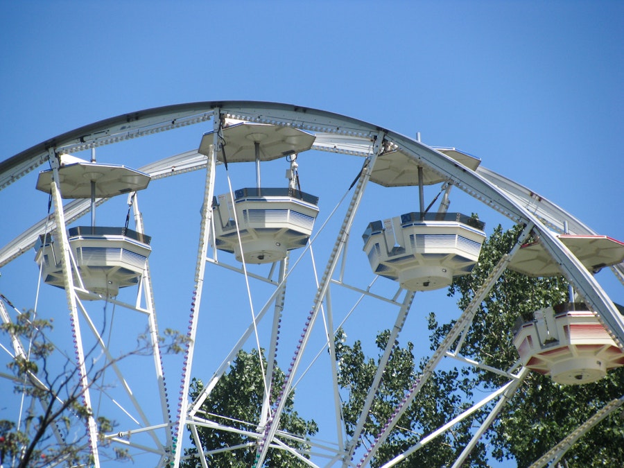Photo: Ferris Wheel In Front of Tree