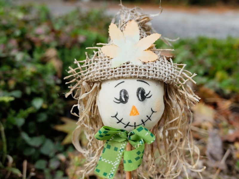 Photo: Scarecrow