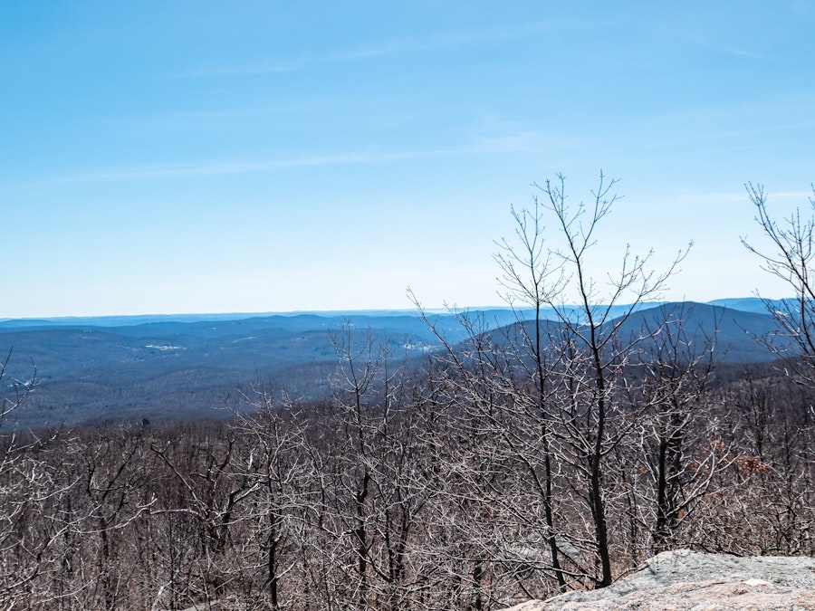 Photo: A landscape with trees and mountains under a blue sky 