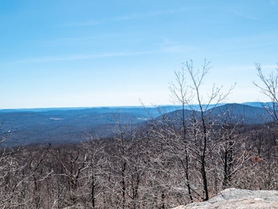 Trees and Mountains Under Blue Sky - A landscape with trees and mountains under a blue sky 