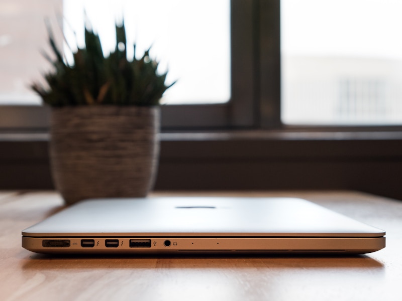 Photo: A laptop and potted plant on a desk in an office, next to a window 