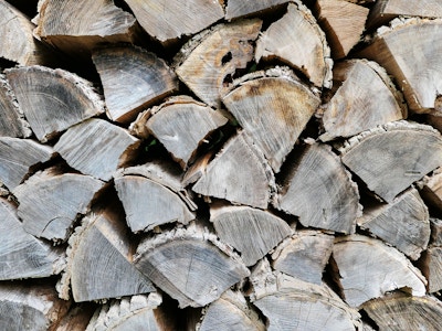 Wood Logs - A close up of a pile of cut wood