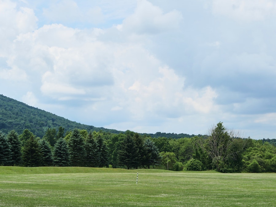 Photo: A large grassy field with trees and mountains in the background under a blue sky