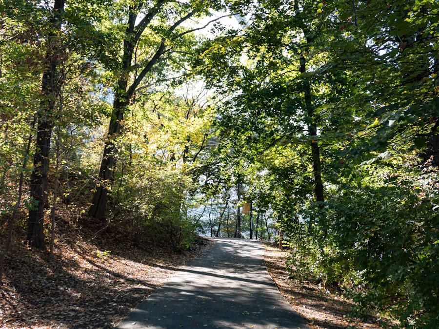 Photo: A path through a forest with sunlight casting shadows on the ground 