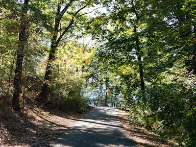 Park Trail - A path through a forest with sunlight casting shadows on the ground 