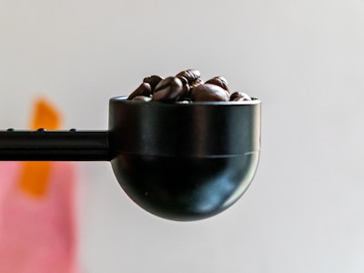 Coffee in Scoop - A black coffee scoop with coffee beans in it