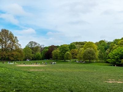 Trees and People in Prospect Park - A large grassy field with people in it
