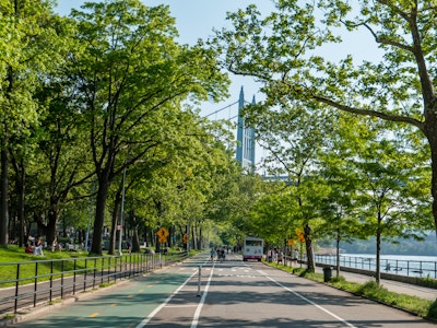 People in Astoria Park with Trees and Bridge - A road with trees in a park and a bridge in the background