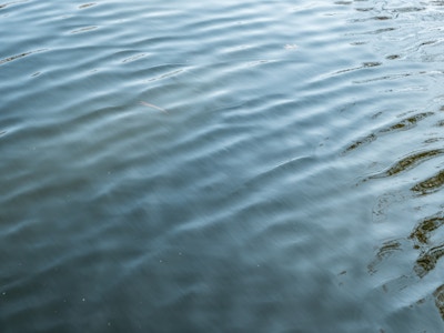 Ocean Water - A close up of waves in a body of water