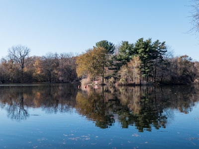 Lake in Park - A body of water with trees and a blue sky in a park