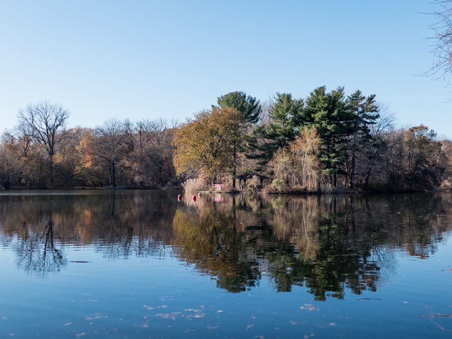 Photo: A body of water with trees and a blue sky in a park