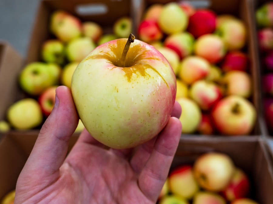 Photo: A hand holding a yellow apple at a farmers market 