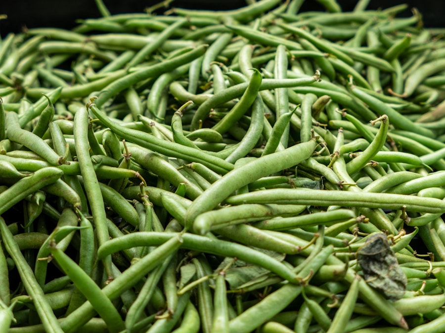 Photo: A pile of green beans