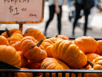 Pumpkins at Farmers Market - A pile of small pumpkins for sale in a basket. Blurred people in the background. 