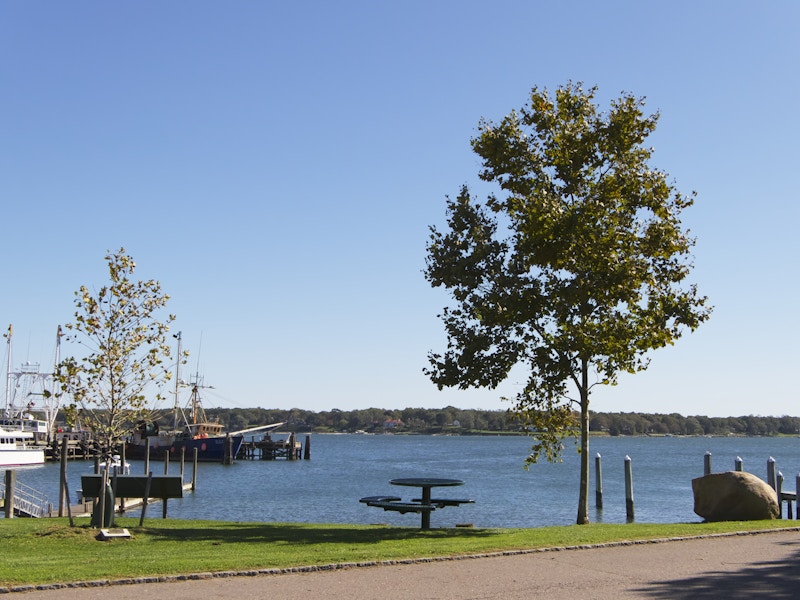 Photo: A road with grass and a bench in a park along a large body of water 