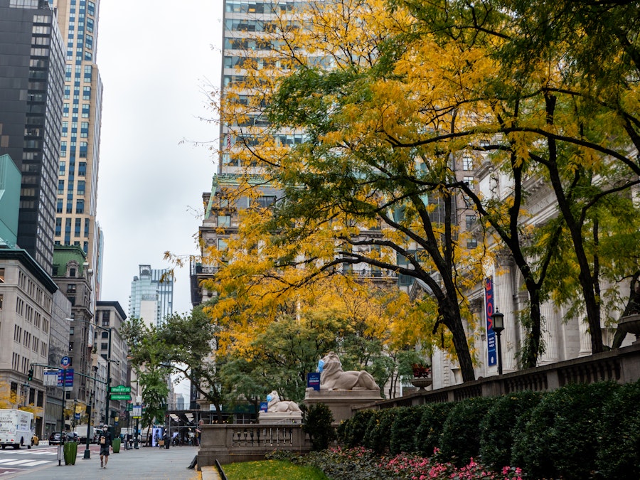 Photo: A city street with trees and buildings