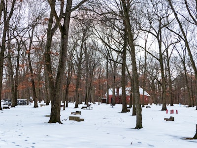 Snow in Park - A snowy park with trees and a red building