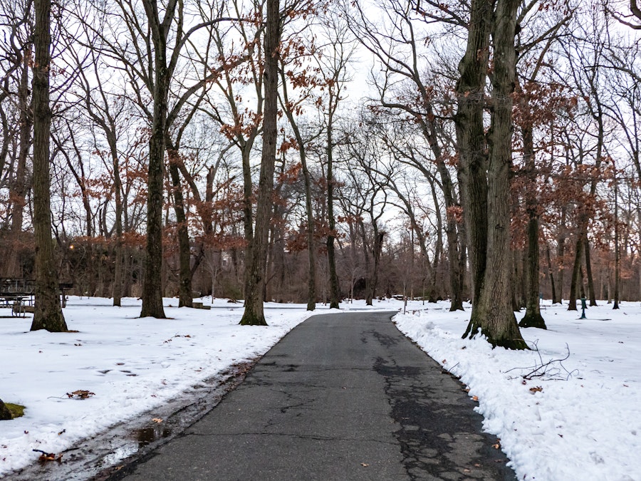 Photo: A path in a park with snow on it, surrounded by trees 