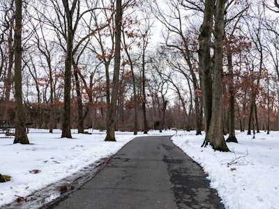 Snow and Trees in Park - A path in a park with snow on it, surrounded by trees 