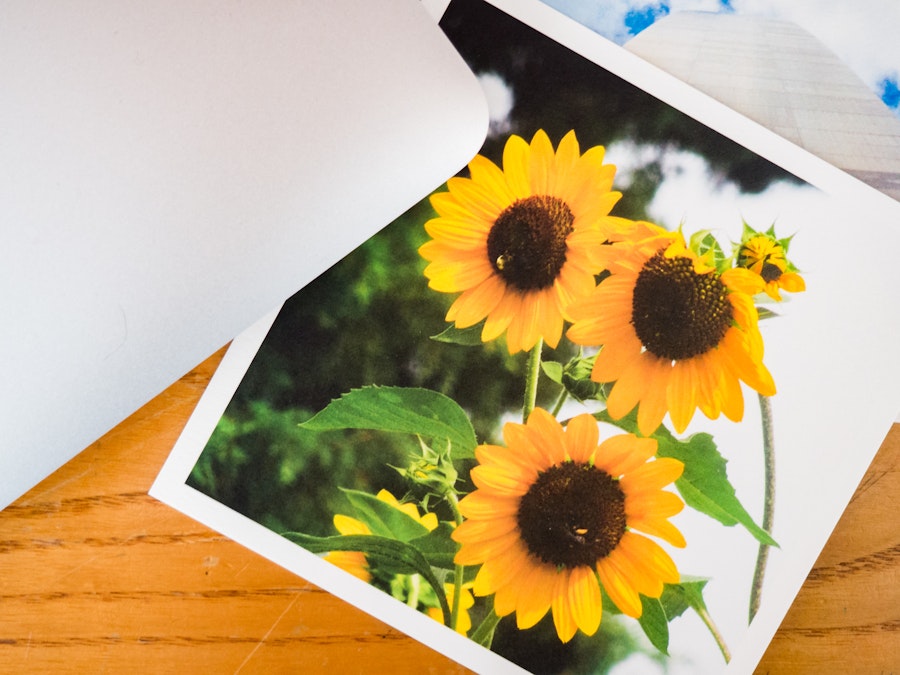 Photo: Sunflower Photo on Desk with Laptop