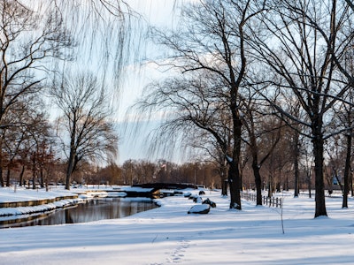 Snow in Park - A snowy park with trees and a river