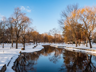 Snow and Lake - A body of water with snow and trees in a park