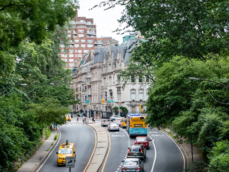 Photo: A street with trees, cars, and buildings in the background