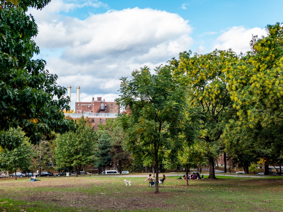 Photo: A group of people sitting in a park surrounded by trees and buildings