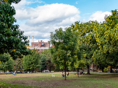 People and Trees in Brooklyn Park - A group of people sitting in a park surrounded by trees and buildings