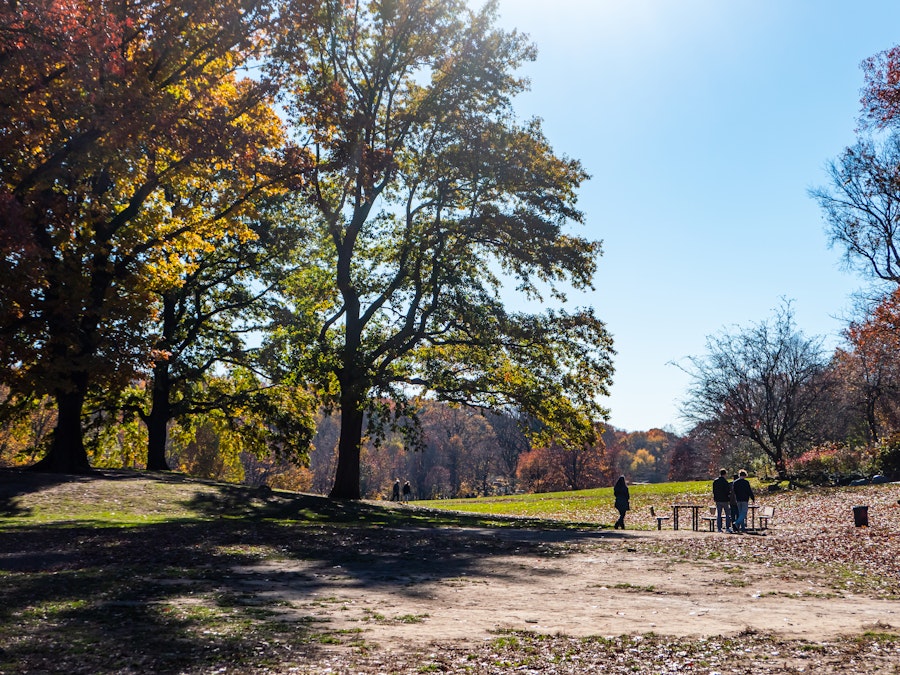 Photo: A group of people walking in a park surrounded by trees