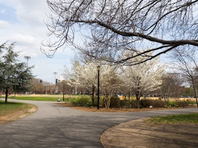 City Park in Spring