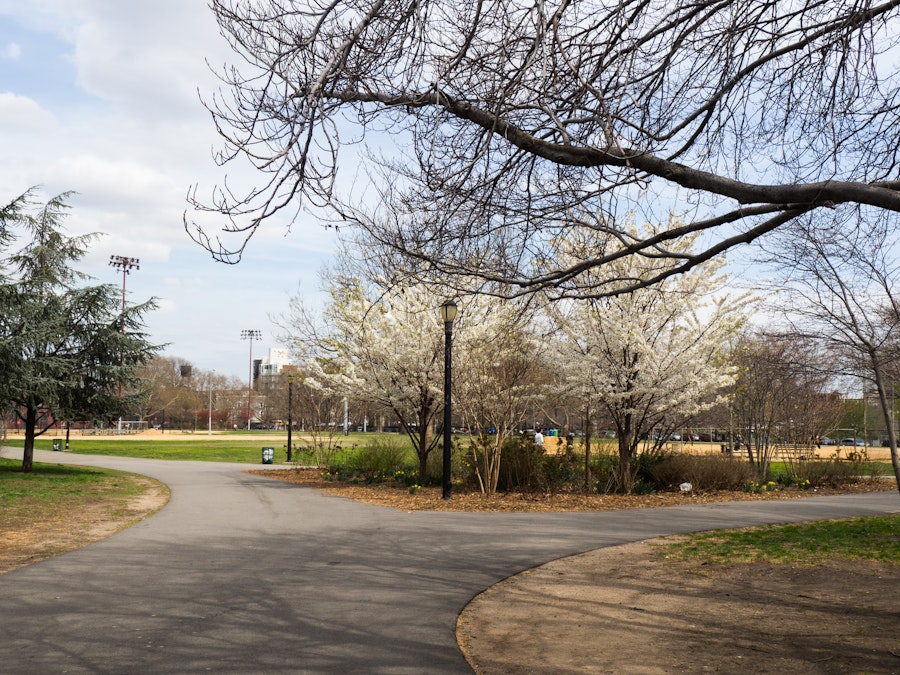 Photo: City Park in Spring