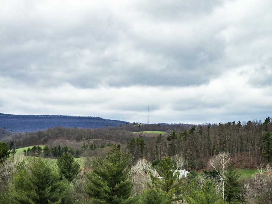 Photo: Trees and Hills