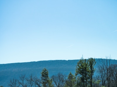 Mountains and Trees