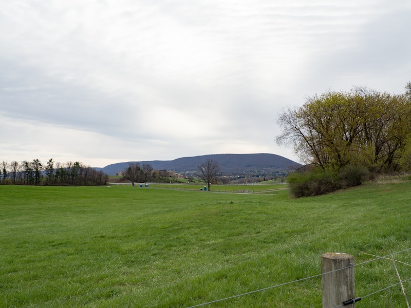 Photo: Mountain Overlooking Grass and Trees