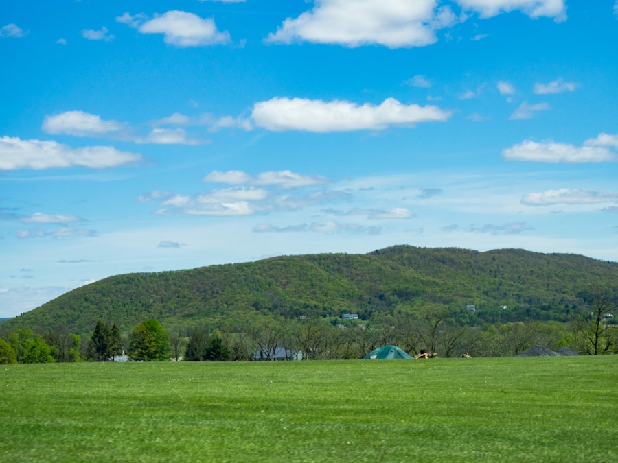 Photo: Landscape with Trees and Hills