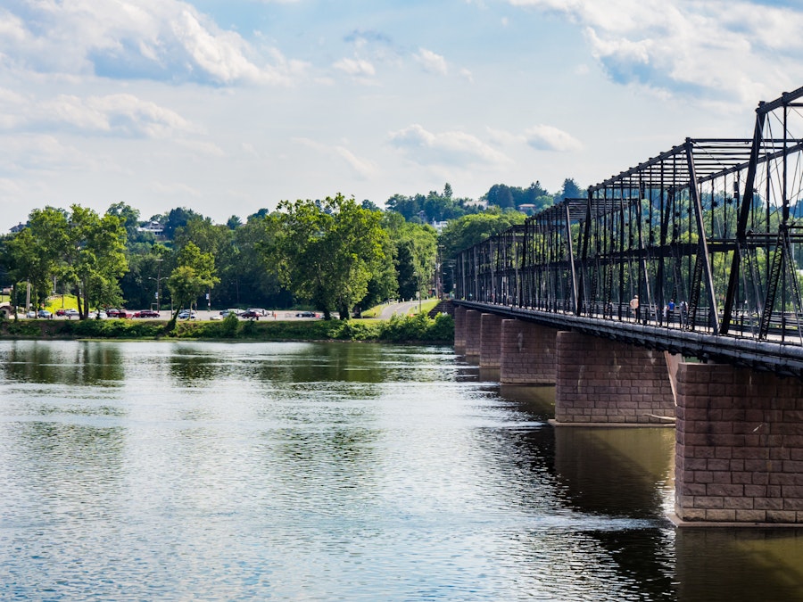 Photo: A bridge over a large body of water with trees in the background