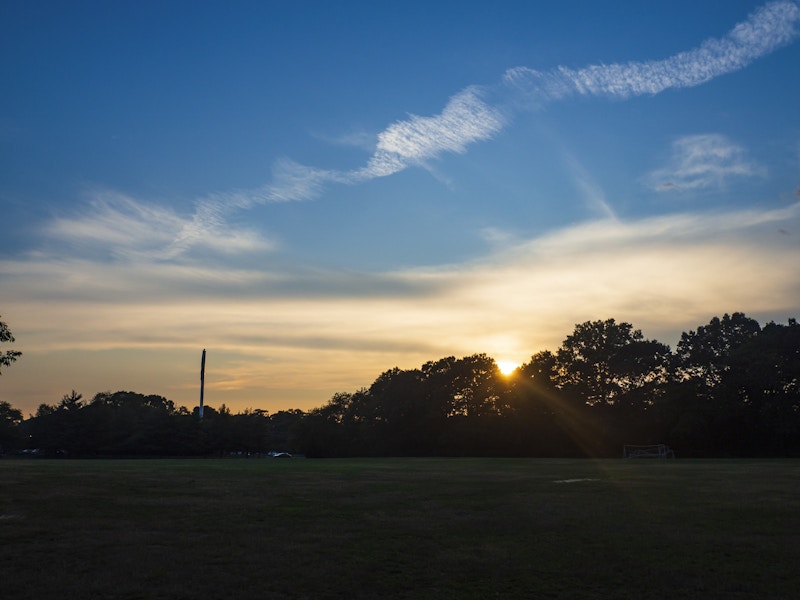 Photo: A sun setting over a field with silhouetted trees