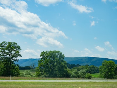 Landscape with Trees and Mountains