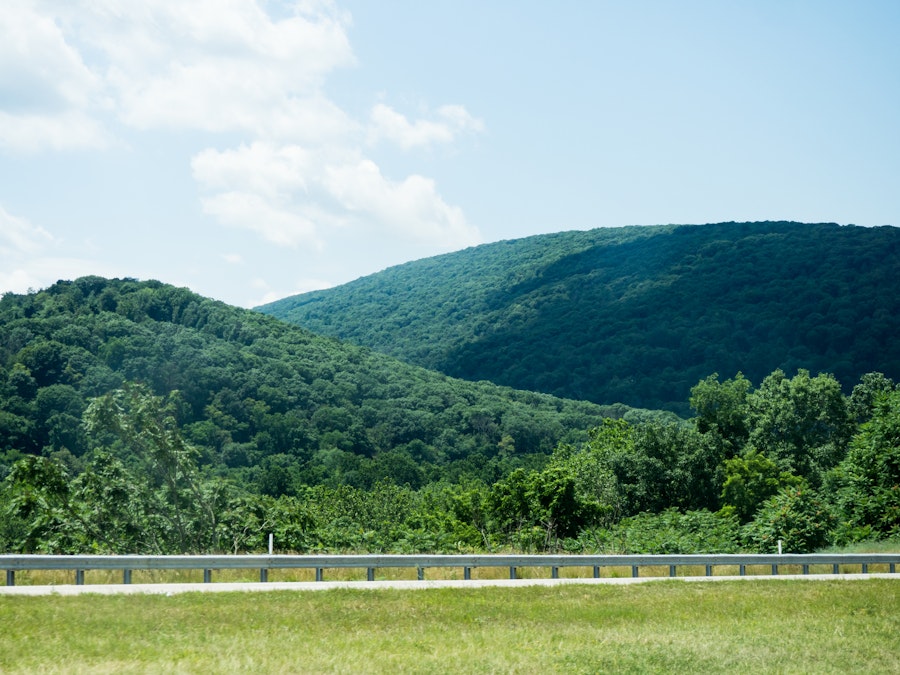 Photo: Hills with Trees