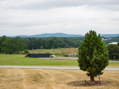 Landscape with Tree and Mountains