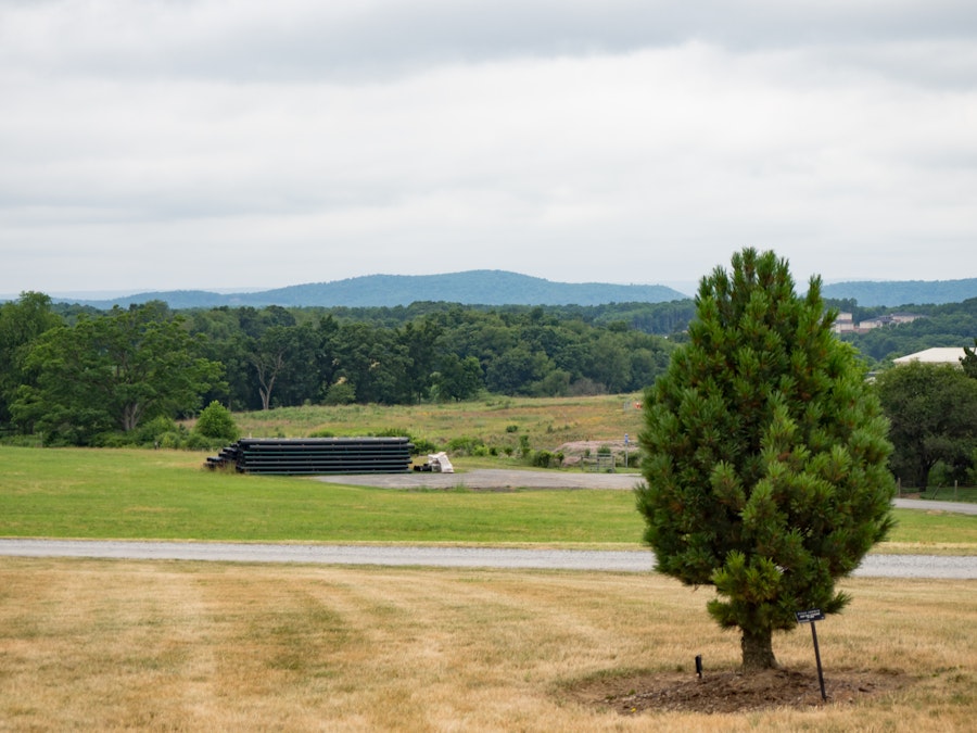 Photo: Landscape with Tree and Mountains